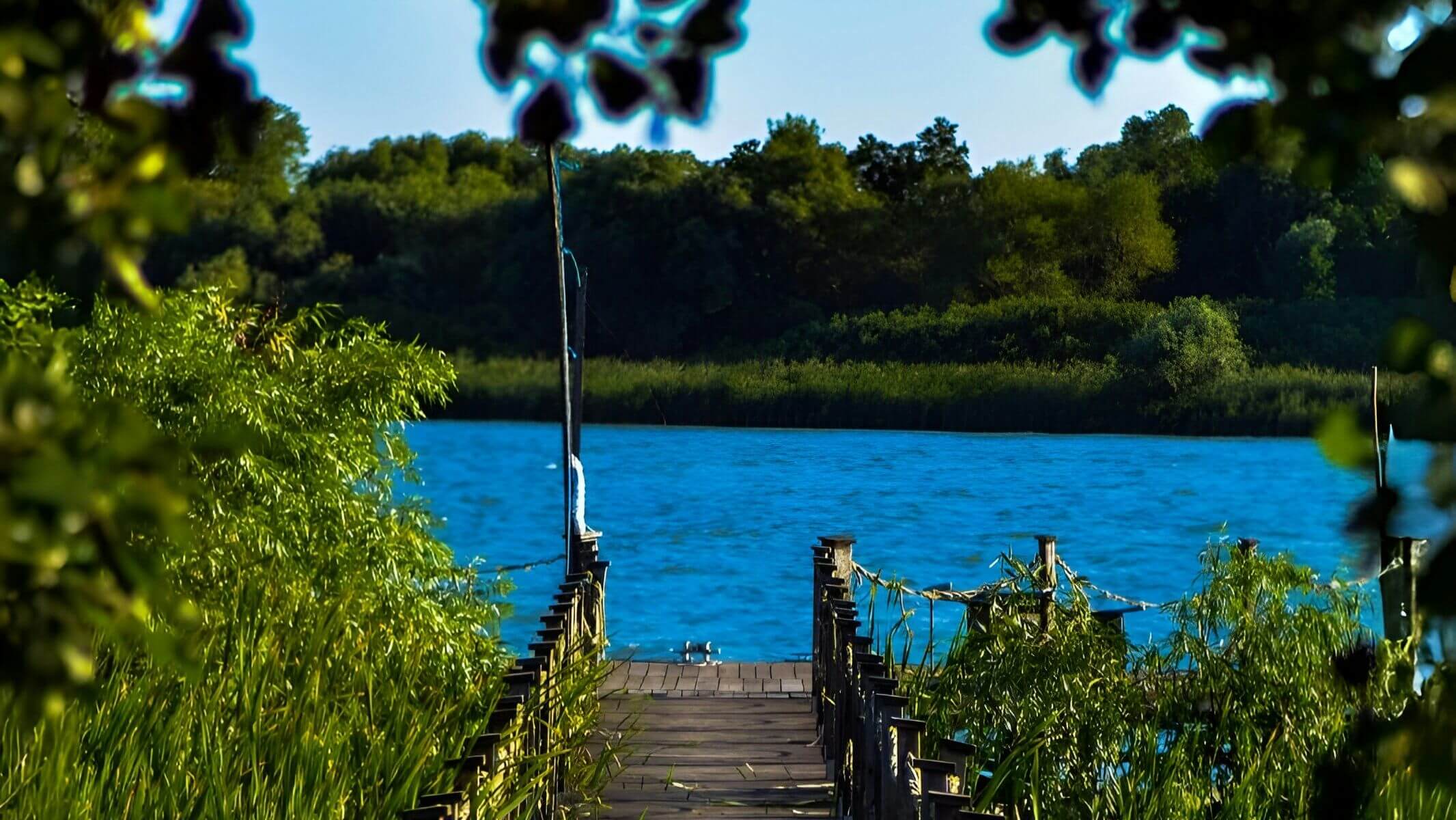 A fishing lake at first light with swims along the near bank