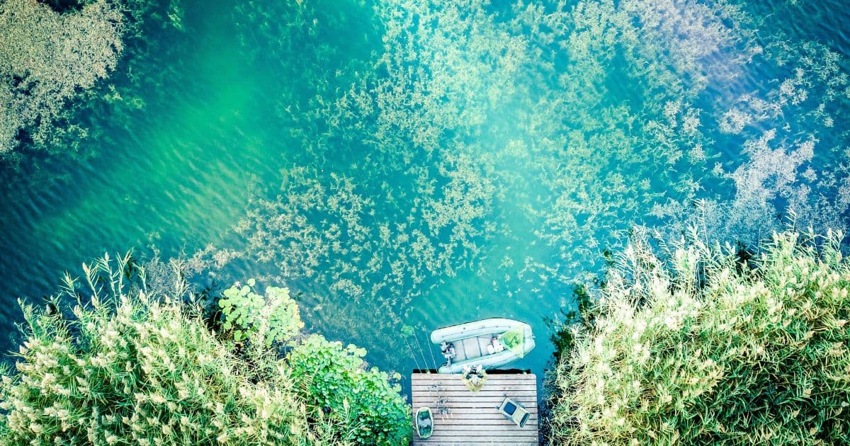 A neat carp lake with accessible swims and an island in the distance