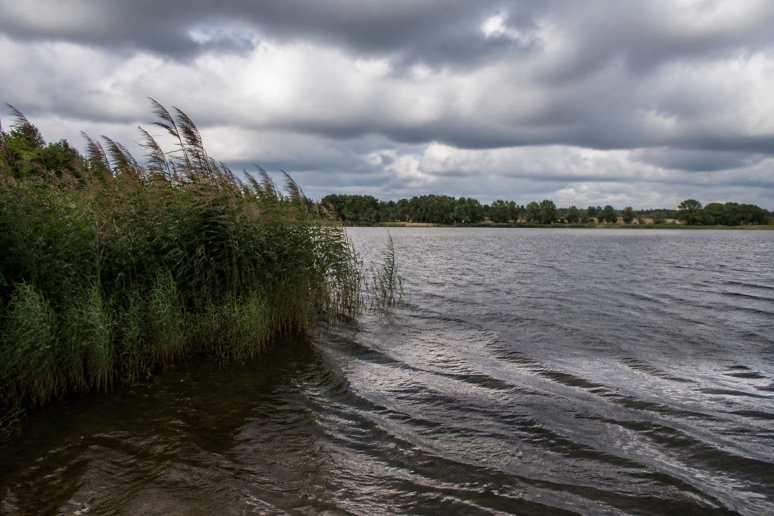 A carp lake under a broken sky, wind putting a ripple on the windward bank