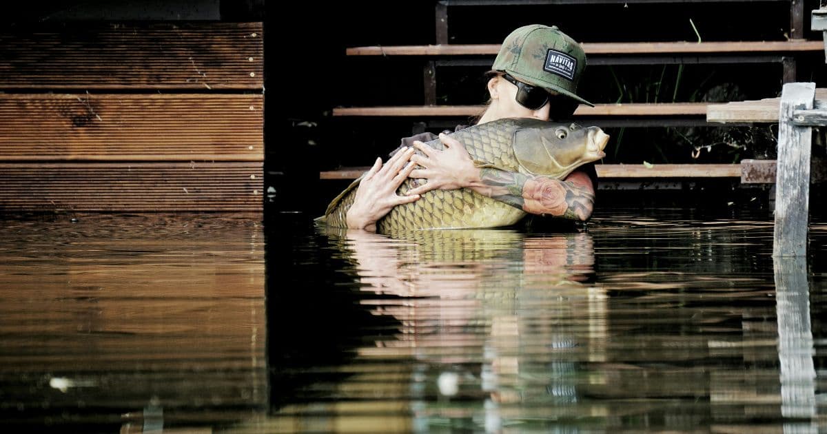 An angler playing a carp at dawn on a Romanian carp lake