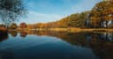 A calm lake in autumn, with yellow and russet trees reflected in the water