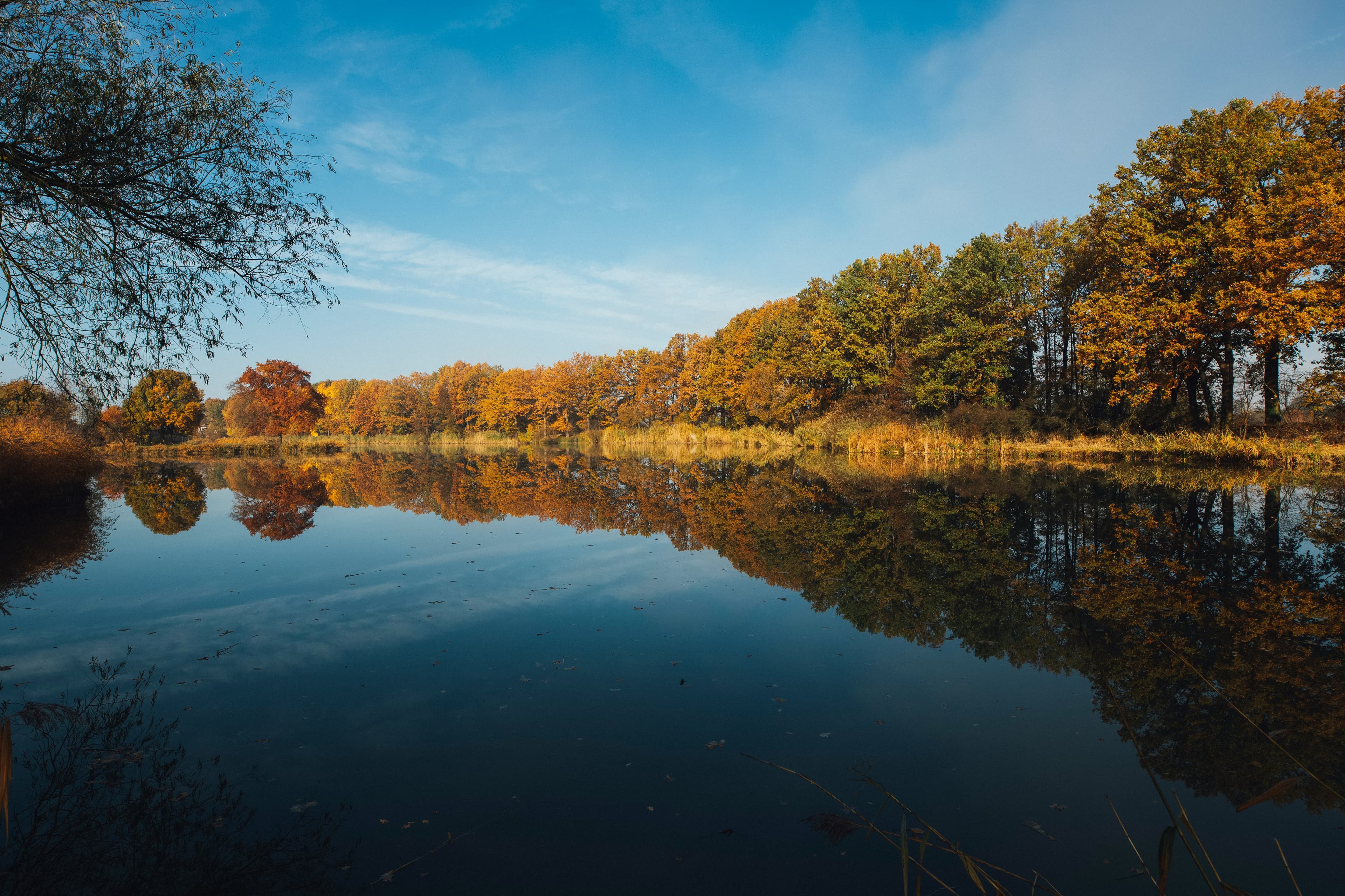 Lake and nature