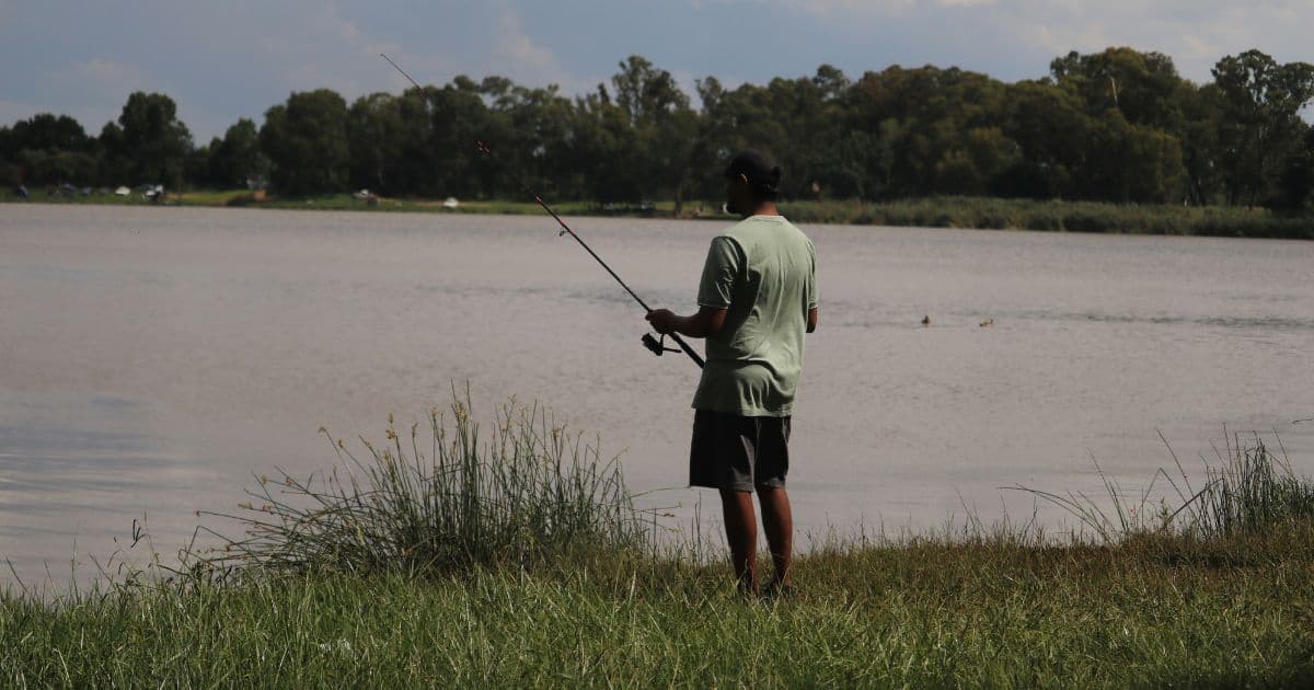 An angler nets a modest common carp on a calm morning