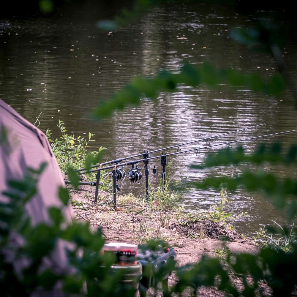 A wooded natural lake north of Bucharest on a calm morning