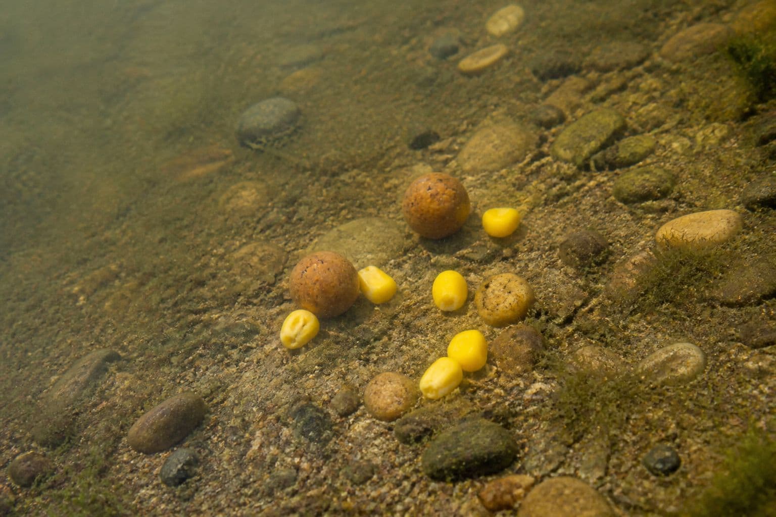 Free offerings scattered along a shallow marginal shelf rather than dumped in a pile